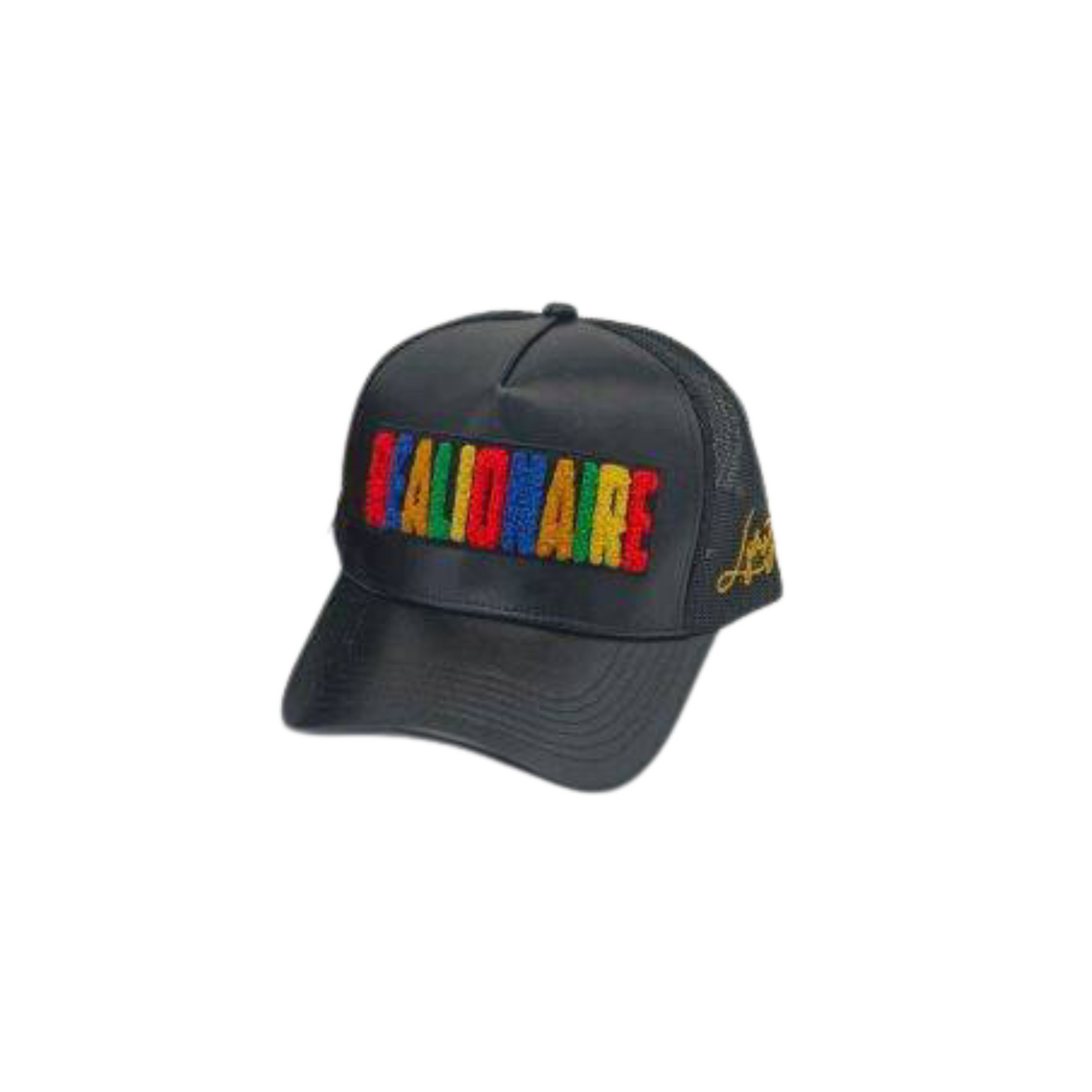 Realionaire Multi color SnapBack