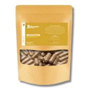 Booster Dandelion Root